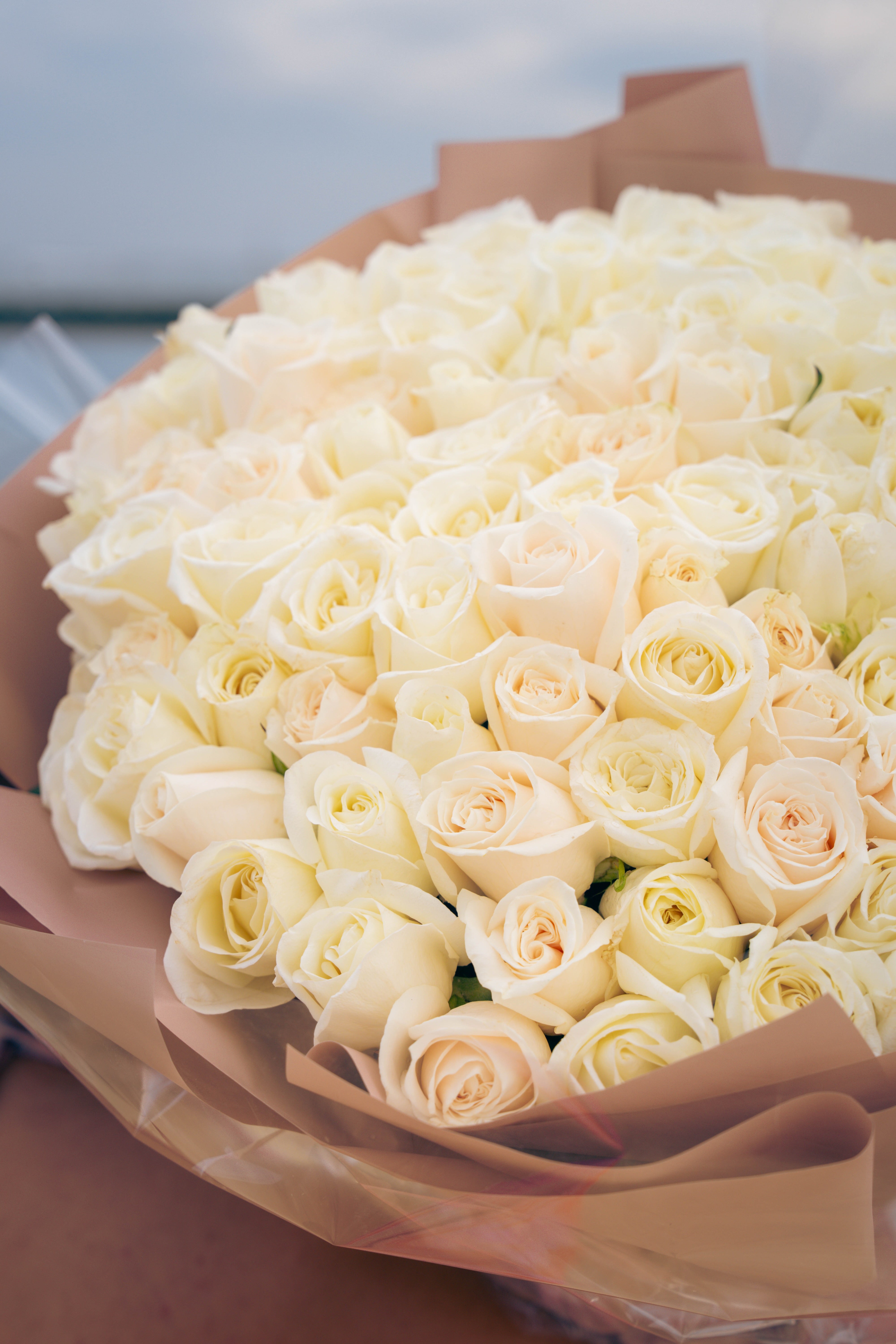 100 White roses proposal bouquet - Honolulu Delivery