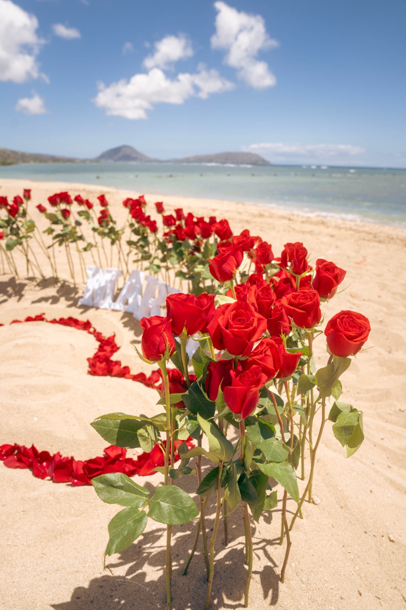 Flowers . Proposals . Weddings
